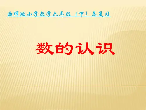 小学六年级《数的认识》整理和复习建议