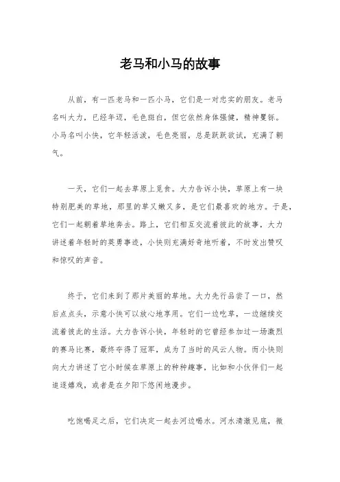 老马和小马的故事