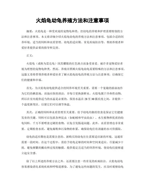 火焰龟幼龟养殖方法和注意事项
