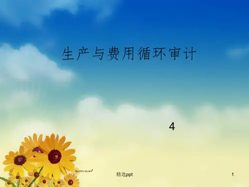 生产与费用循环审计