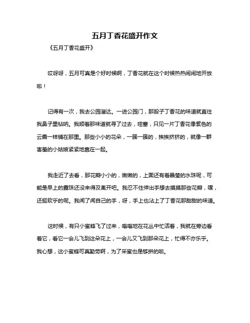 五月丁香花盛开作文