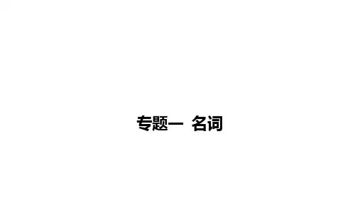 中考英语二轮复习课件：专题一+名词