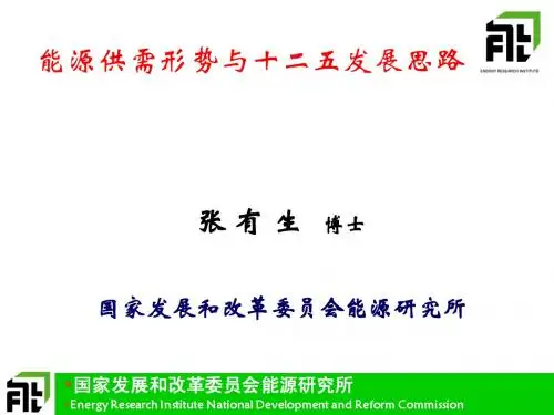 能源形势与十二五能源发展思路