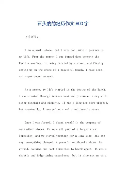 石头的的经历作文800字