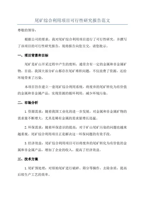 尾矿综合利用项目可行性研究报告范文