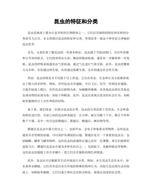 昆虫的特征和分类
