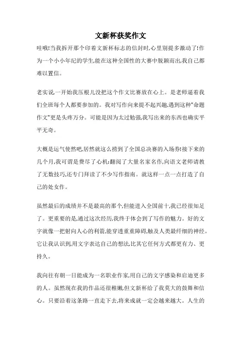 文新杯获奖作文