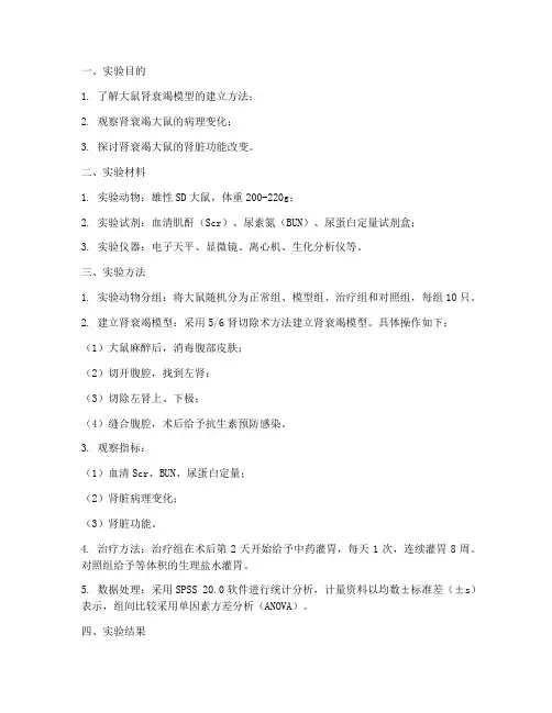 大鼠肾衰实验报告