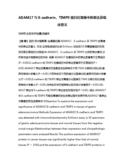 ADAM17与E-cadherin、TIMP3蛋白在胃癌中的表达及临床意义