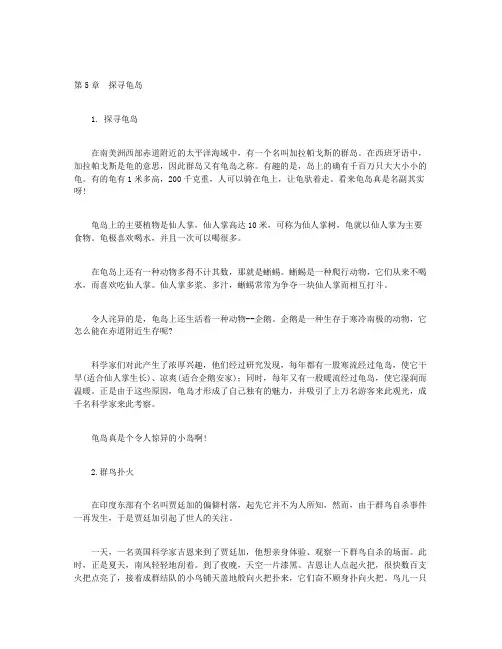 荒岛历险故事（中）-第5章