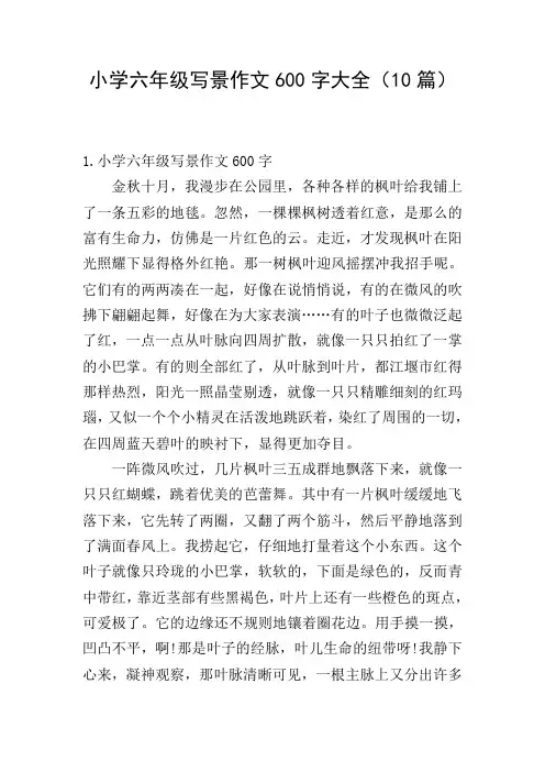 小学六年级写景作文600字大全(10篇)