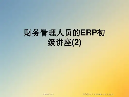 财务管理人员的ERP初级讲座(2)