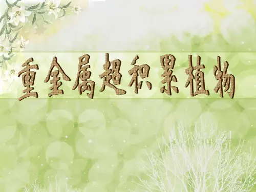 超积累植物