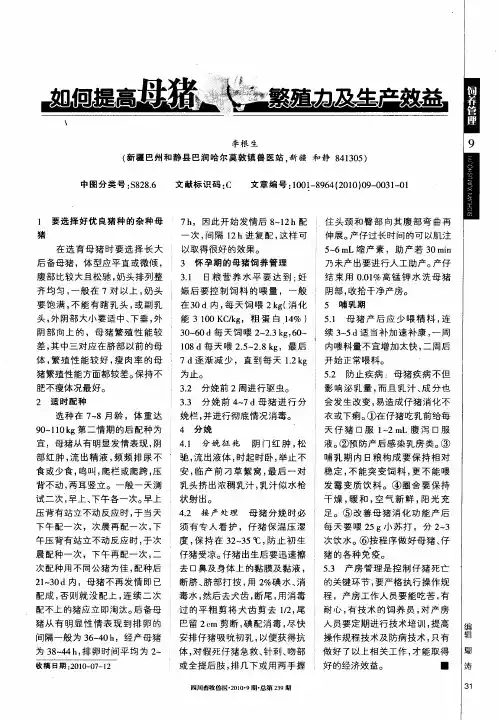 如何提高母猪繁殖力及生产效益