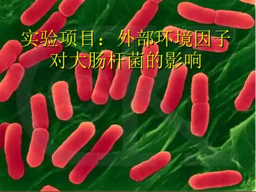 微生物设计实验_外部环境因子对大肠杆菌的影响