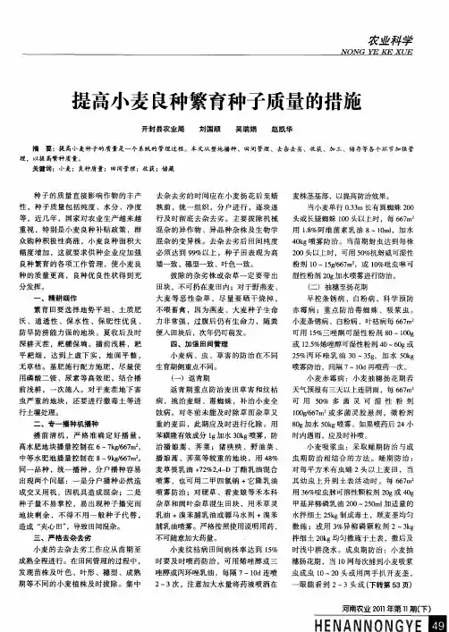提高小麦良种繁育种子质量的措施