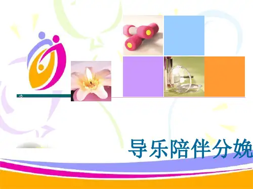 院内宣传 导乐分娩 - 副本