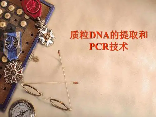 质粒DNA的提取和PCR技术