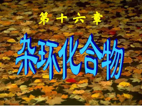 第十六章  杂环化合物2009级新
