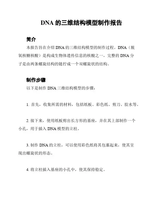 DNA的三维结构模型制作报告