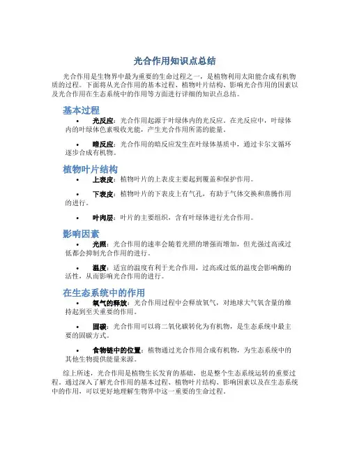 光合作用知识点总结