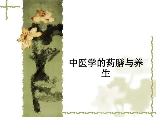 中医学的药膳与养生ppt课件