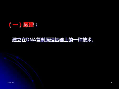 PCR及相关技术PPT课件