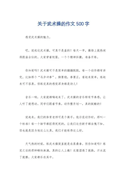关于武术操的作文500字