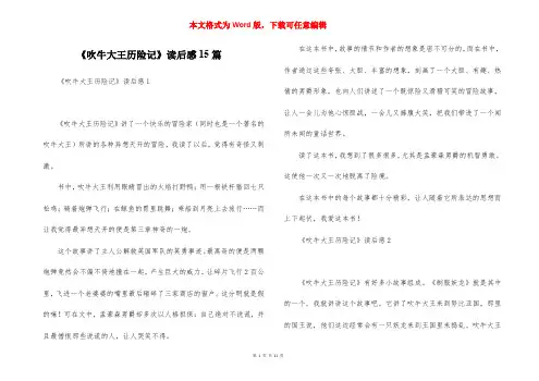 《吹牛大王历险记》读后感15篇