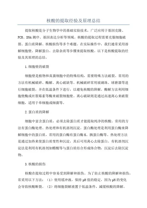 核酸的提取经验及原理总结