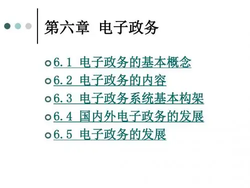 第六章电子政务