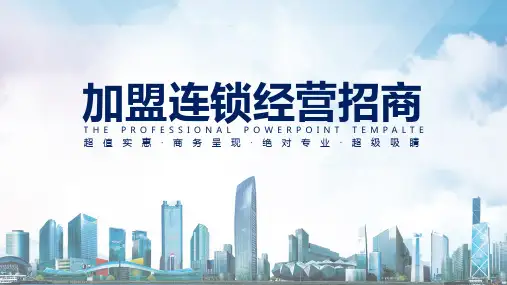 框架完整经营加盟连锁招商方案辅导专题讲授PPT课件