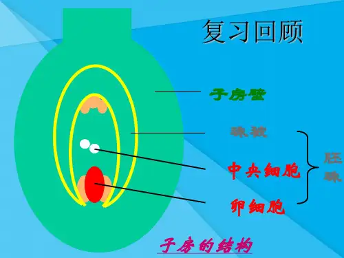 果实和种子的形成PPT课件9 济南版优秀课件