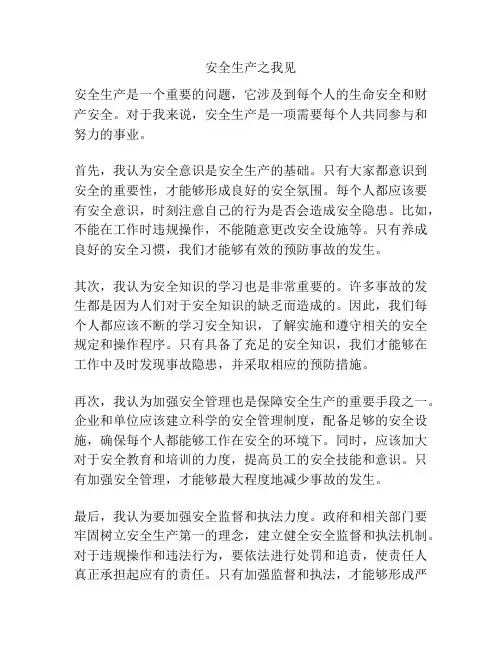 安全生产之我见