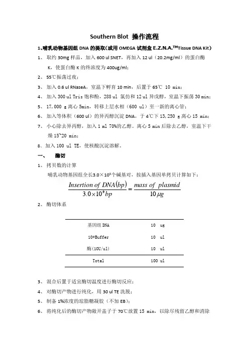 Southern Blot操作流程