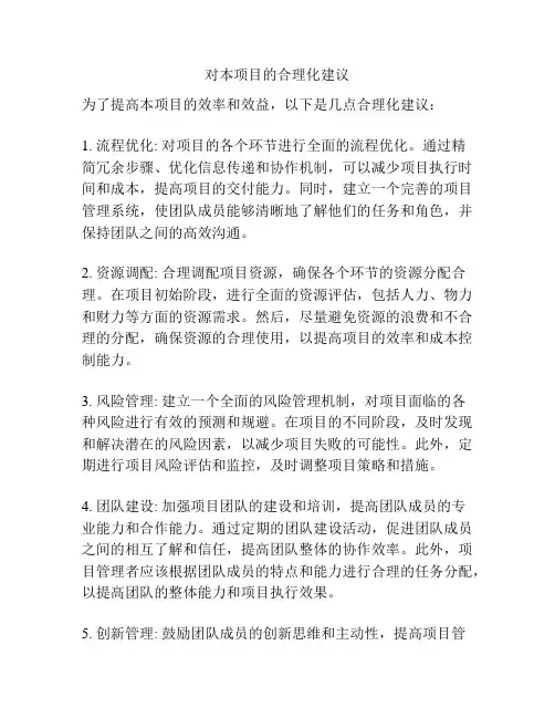 对本项目的合理化建议