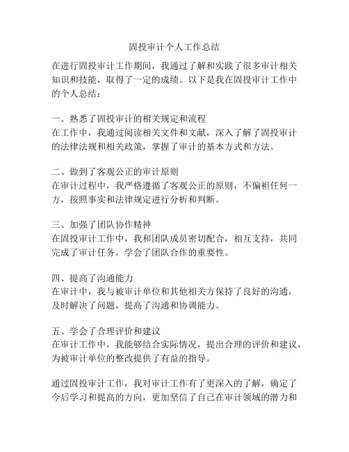 固投审计个人工作总结