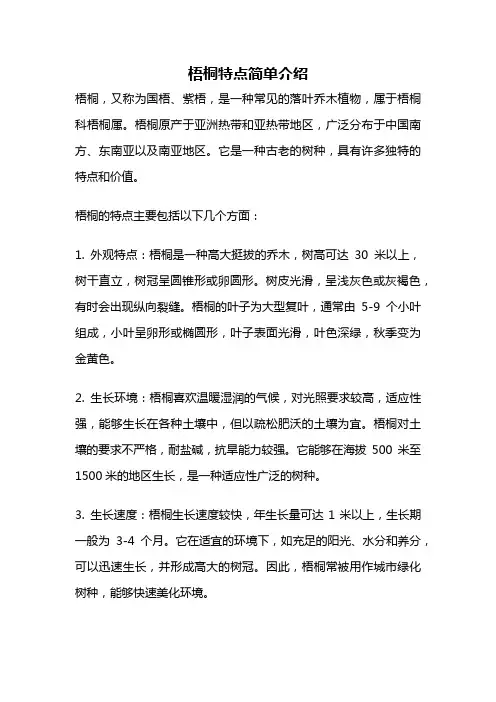 梧桐特点简单介绍