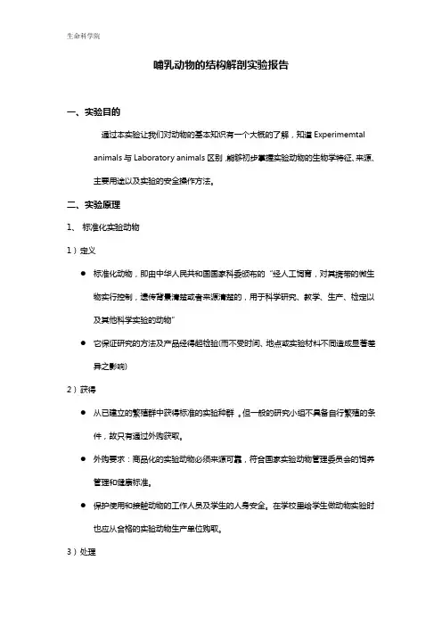 南京大学实验报告-哺乳动物的结构解剖实验报告