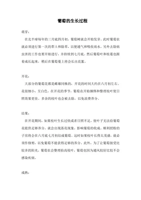 葡萄的生长过程