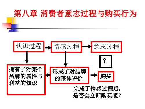 第八章-消费者意志过程与购买行为