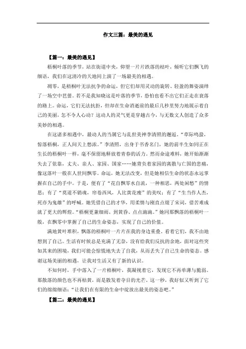 作文三篇：最美的遇见