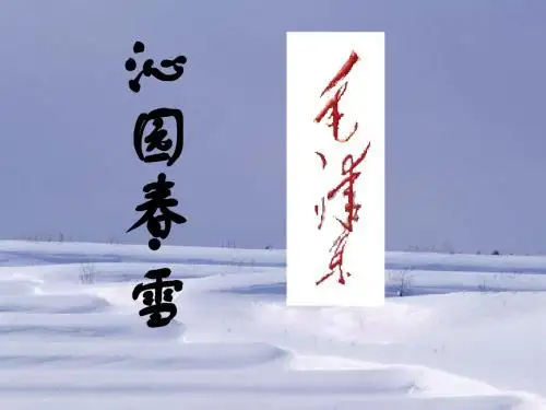 1沁园春·雪