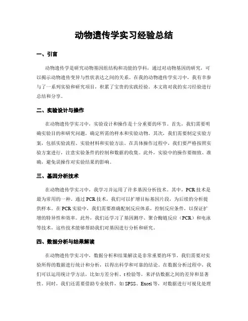 动物遗传学实习经验总结