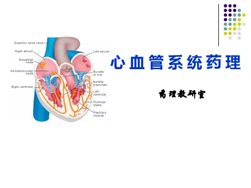 第二十四章 利尿药