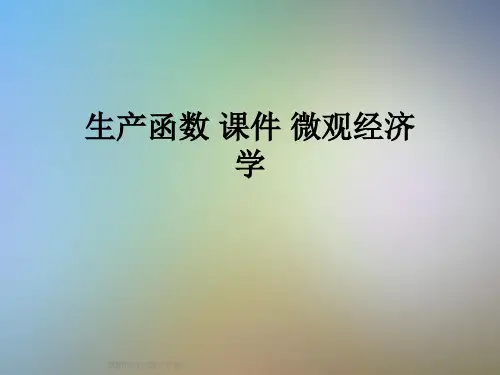 生产函数 课件 微观经济学