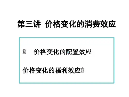 第三讲价格变化的消费效应