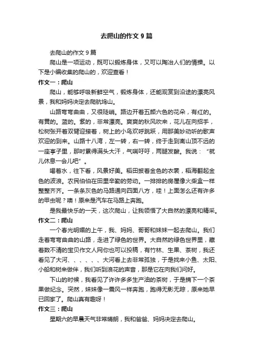 去爬山的作文9篇