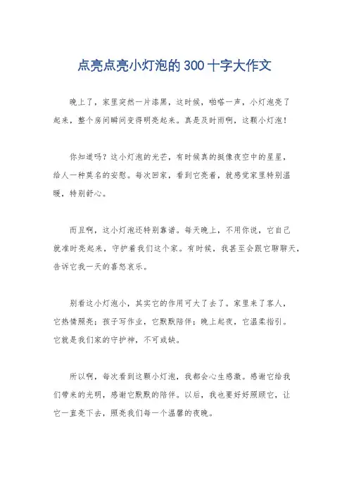 点亮点亮小灯泡的300十字大作文