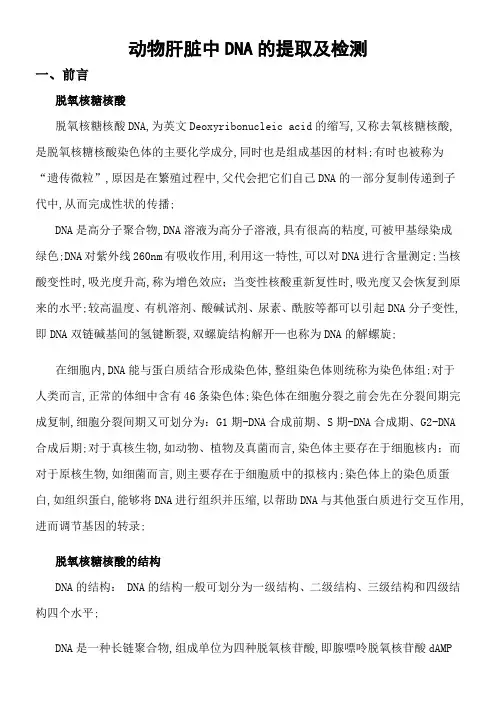 动物肝脏中DNA的提取及检测实验报告